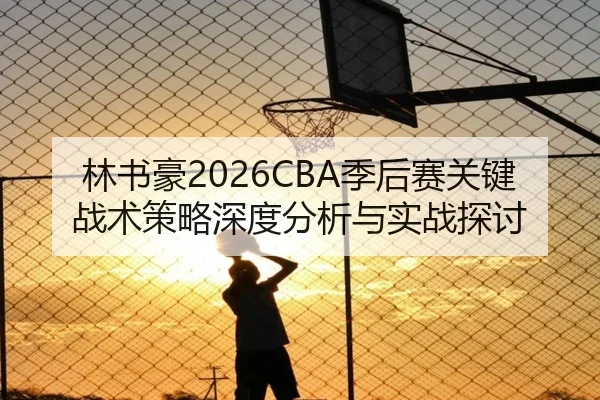 林书豪2026CBA季后赛关键战术策略深度分析与实战探讨